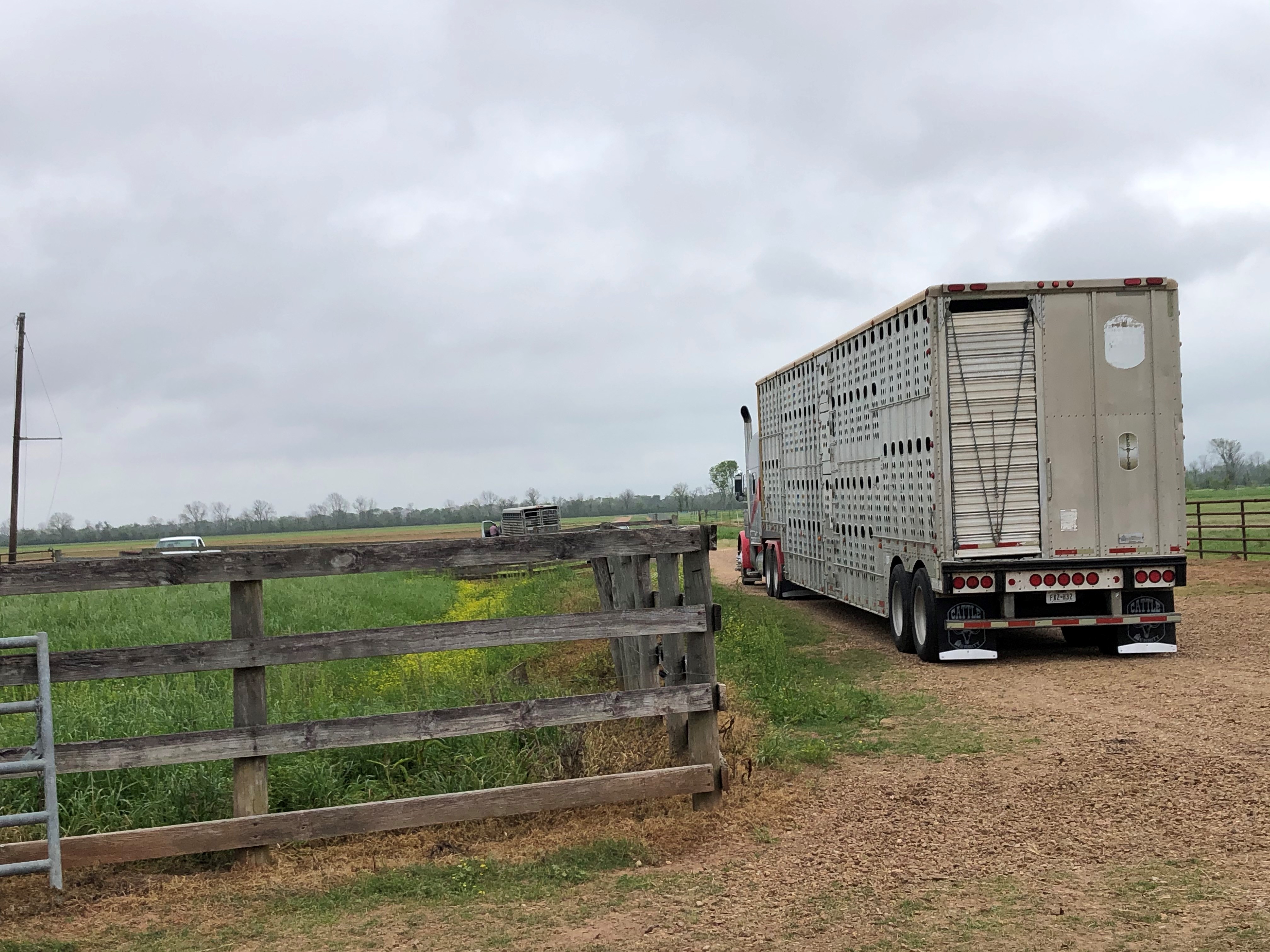 A truck with a trailer driving down a farm road. 